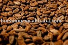 Cocoa Powder