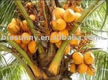 Fresh Coconut Milk Powder