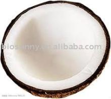 Organic Coconut Juice Powder
