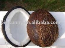Desiccated Coconut Milk Powder