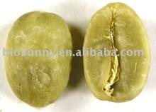 Green coffee bean extract( Chlorogenic acids)