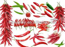 100% Natural Red Pepper Extract Capsaicin 95%