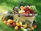 Fruit juice concentrates powder