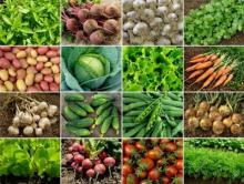 indian vegetables for fruits