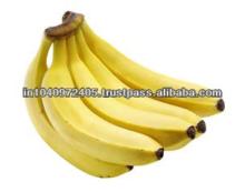 fresh indian  banana  s with low  price 