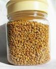 Camellia Bee Pollen Granular Used in cosmetic, food