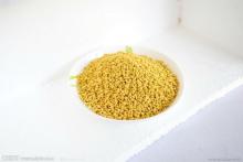  Rape  Bee  Pollen  Granular Used in cosmetic, food