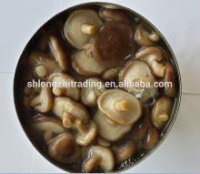  CANNED   SHIITAKE 
