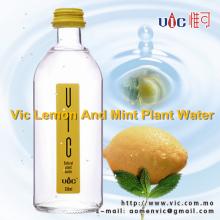 summer drinking water
