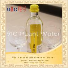 Vic Mineral Lemon And Mint Plant Water