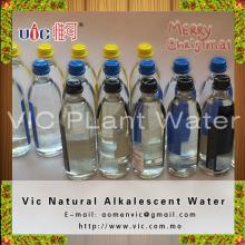 Bottled Vic Lemon And Mint Plant Water