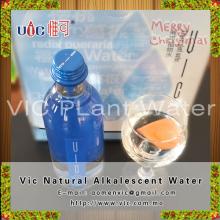 Best Seller Vic Plant Drinking Water