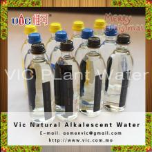 Best Sell Vic Lemon And Mint Plant Water