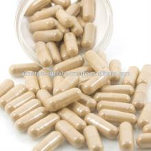 GMP Coleus Forskohlii Extract 20% Forskolin Food Supplement