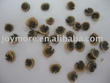 Marshmallow Root P.E.(Althaea Officinalis)