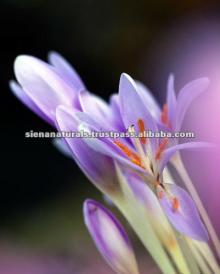 (Capsules)  Organic   Saffron   Extract 