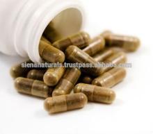 HOT NEW 125mg Capsules Coleus Forskohlii Extract 20% Forskolin