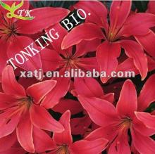 Gynecological drug  saffron   extrac t