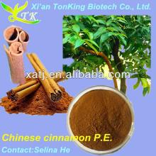 natural chinese cinnamon extract 10:1