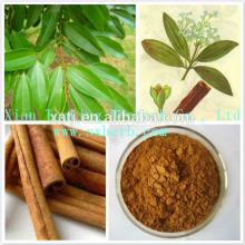 Cinnamon oil extract cinnamon oil flavoring cinnamon oil bulk