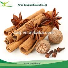 Food grade Chinese spicy ingredient Cinnamon extract