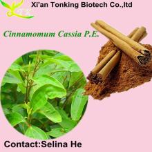 ISO certificated natural chinese cinnamon extract