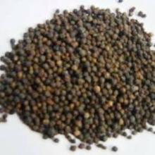 Pure Piperine P.E. / Black Pepper Extract