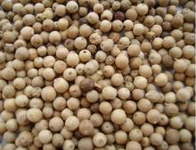 Natural Black Pepper Extract Piperine