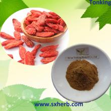 100% Natural Goji Berry  Extract ,Wolfberry  Extract , Lycium   Barbarum   Extract 