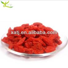 herb medicine:promote immunity of  chinese   goji   berry 