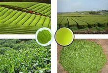 100% Organic Decaffeinated Green Tea Extract polyphenol
