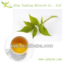 100% natural Raspberry Leaf Tea