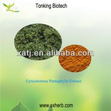 Gynostemma pentaphyllum extract Gypenoside 80% 98% Gynostemma tea