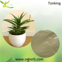 Pure Natural Aloe Vera Juice Extraction