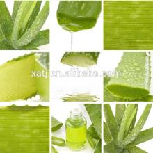Aloe vera juice extract/aloe powder/aloe vera extract