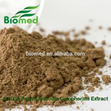 Antrodia camphorata powder- Health care product