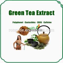 catechin powder green tea extract polyphenol