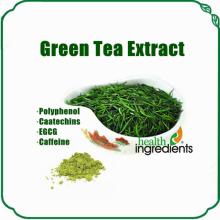 polyphenols powder tea extract catechins matcha green tea extract powder fro lose weight