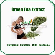high purity 4% 8% catechin powder zenergreen super green tea extract