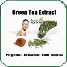 chinese green tea leaf extract powder polyphenol 50% for Anti-radiation