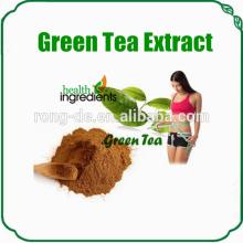 low  price  catechin green tea extract powder tea polyphenol  capsule 