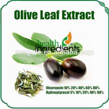 olive  leaf   extract   powder  oleuropein & hydroxytyrosol  powder 