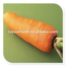 2014 chinese new crop fresh carrot