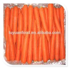 2014 Fresh bright red carrot hot sale with HACCP certificate