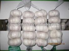 2014 new crop fresh natural garlic in bulk
