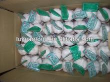 wholesale 2014 fresh natural white garlic /china garlic