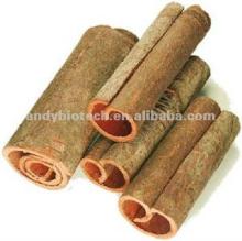 Best Quality Chinese Cinnamon Extract Polyphenols 30%