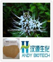 High Quality Java Tea Powder Extract 4:1