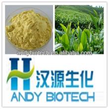 Pure Natural Green Tea Powder Extract 98% Polyphenols