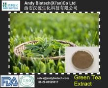 High Quality Green Tea Powder Extract Polyphenols 40% (EGCG 8%, catechin 25%)